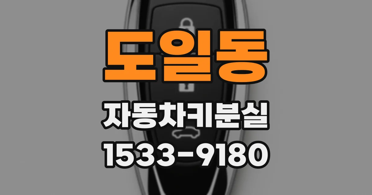 도일동 자동차키분실