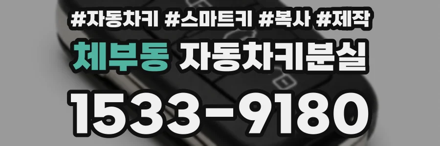 체부동 자동차키분실