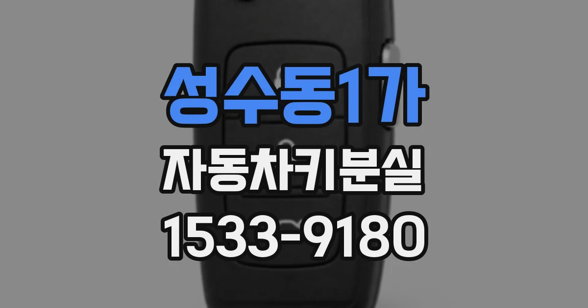 성수동1가 자동차키분실