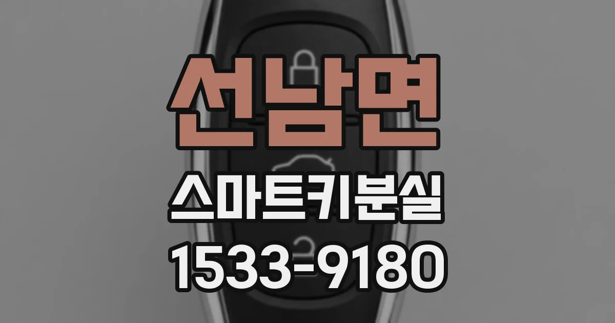 선남면 스마트키분실
