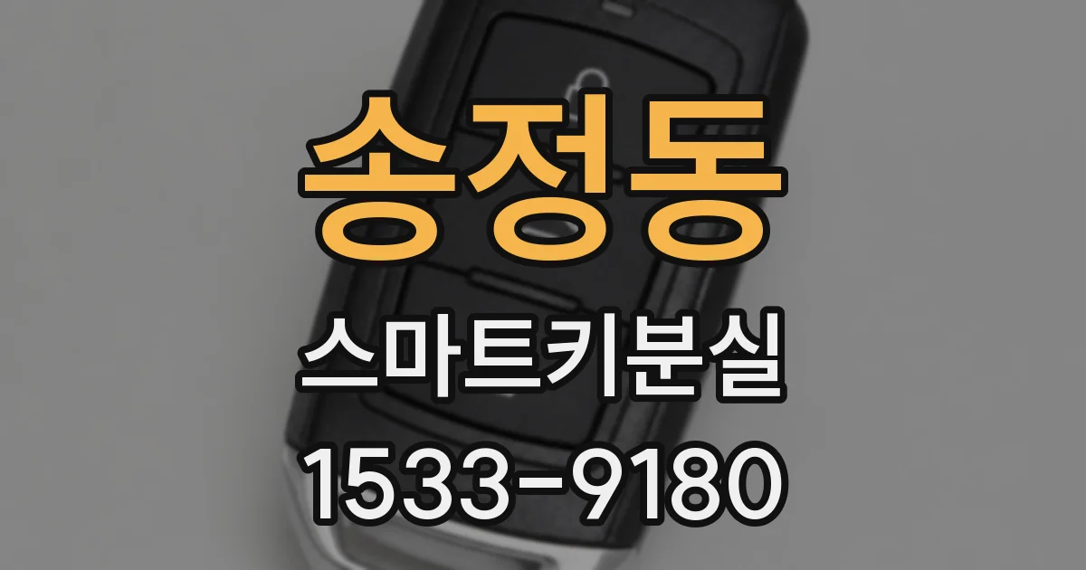 송정동 스마트키분실