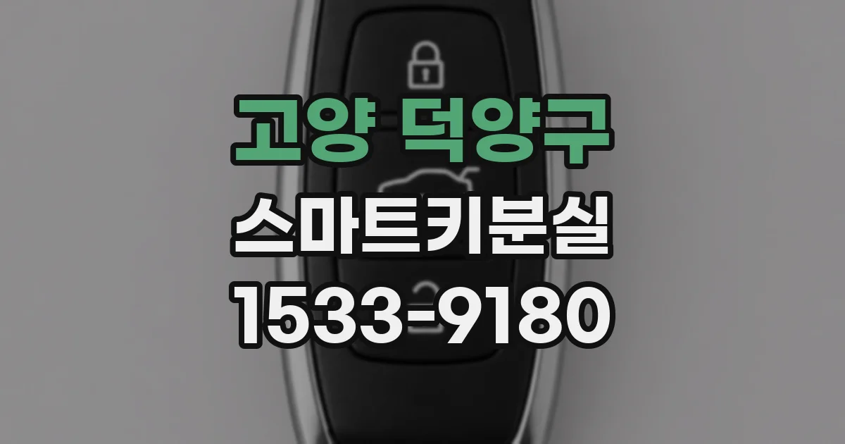 고양 덕양구 스마트키분실