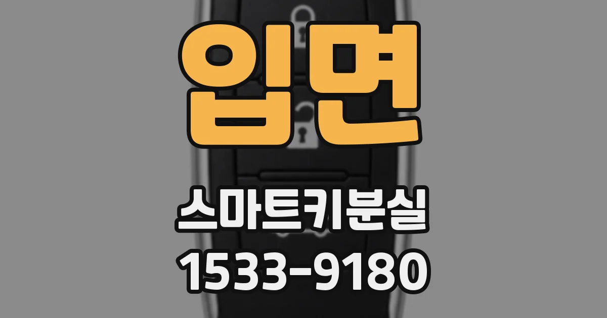 입면 스마트키분실