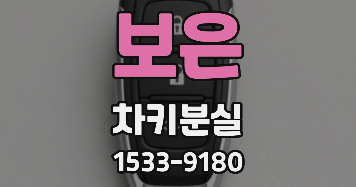 보은 차키분실