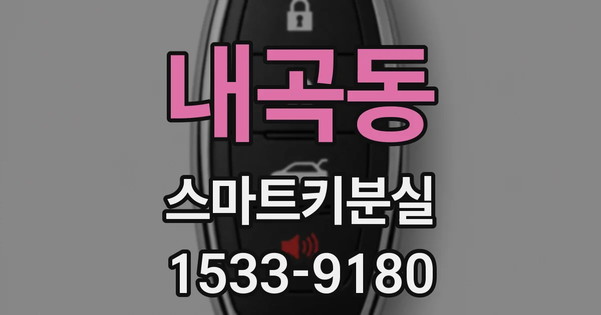 내곡동 스마트키분실