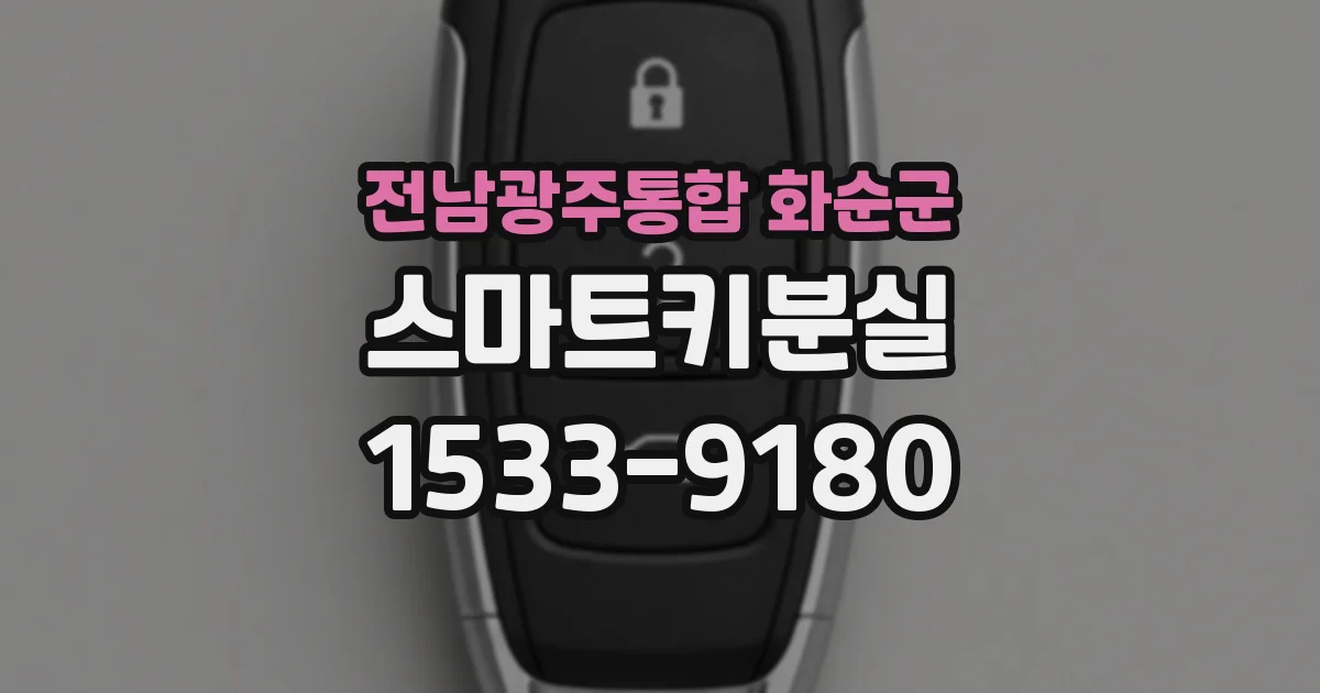 전남광주통합 화순군 스마트키분실