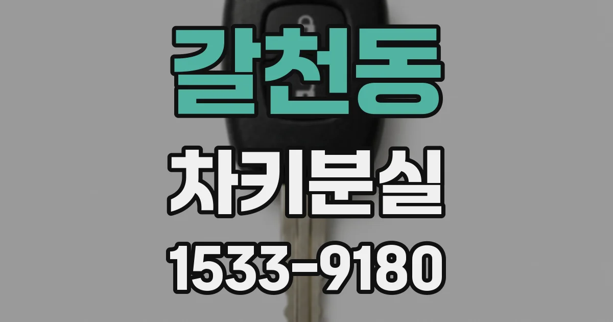 갈천동 차키분실