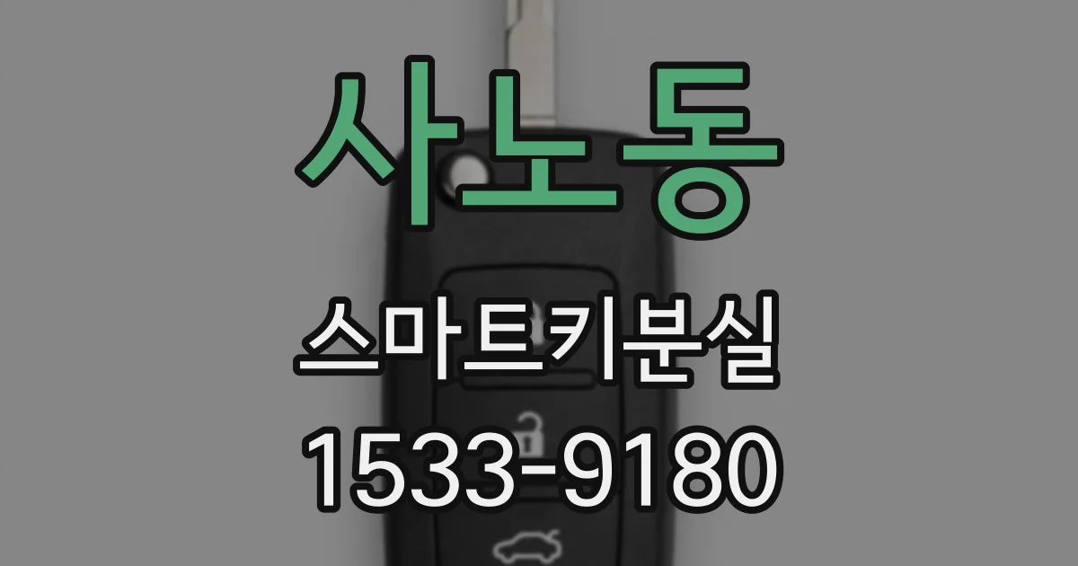 사노동 스마트키분실