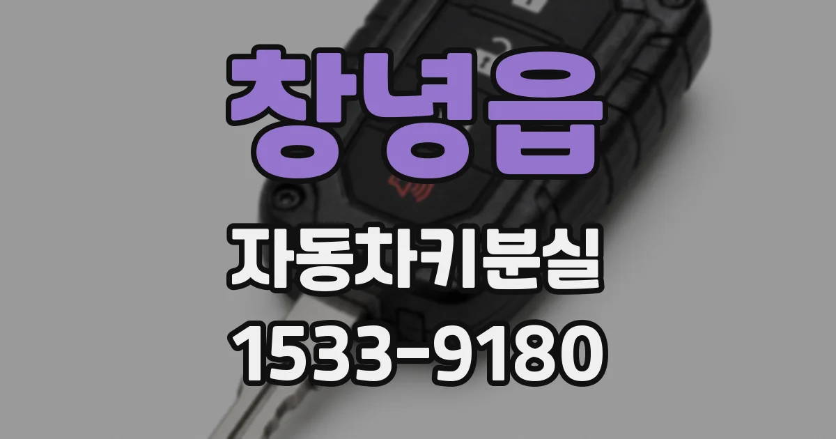 창녕읍 자동차키분실