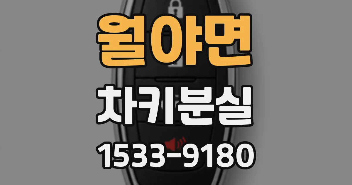 월야면 차키분실