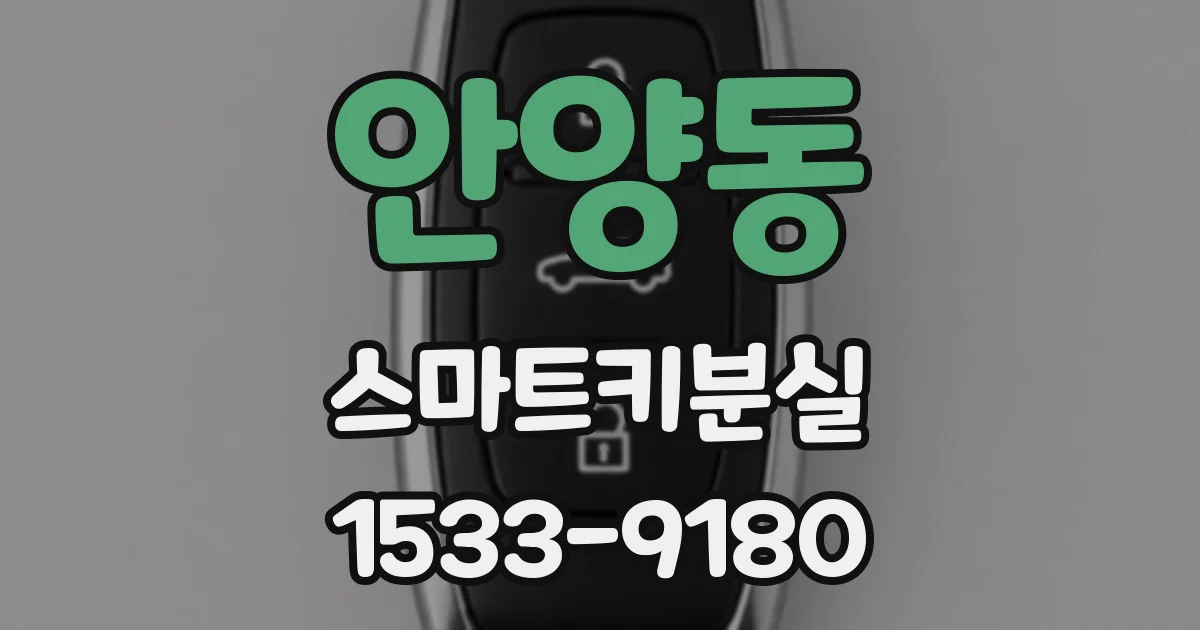 안양동 스마트키분실