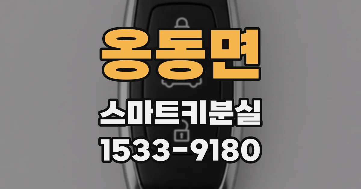 옹동면 스마트키분실