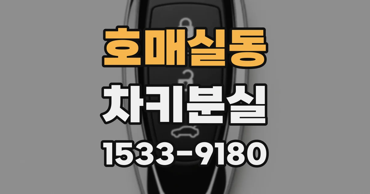호매실동 차키분실