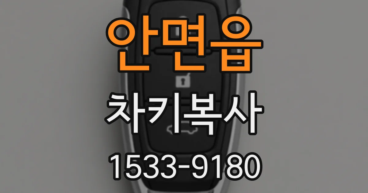 안면읍 차키복사