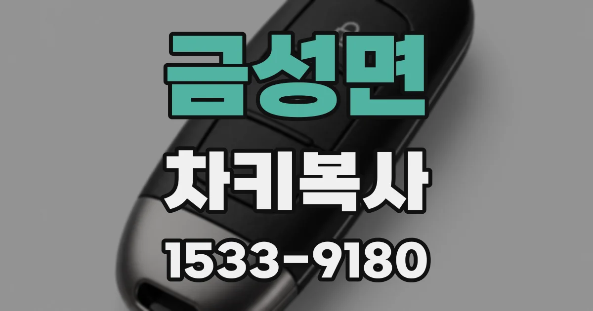금성면 차키복사