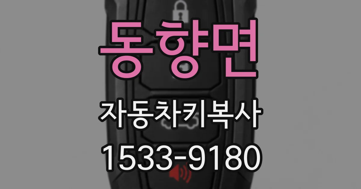 동향면 자동차키복사