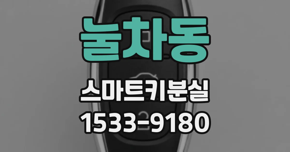 눌차동 스마트키분실