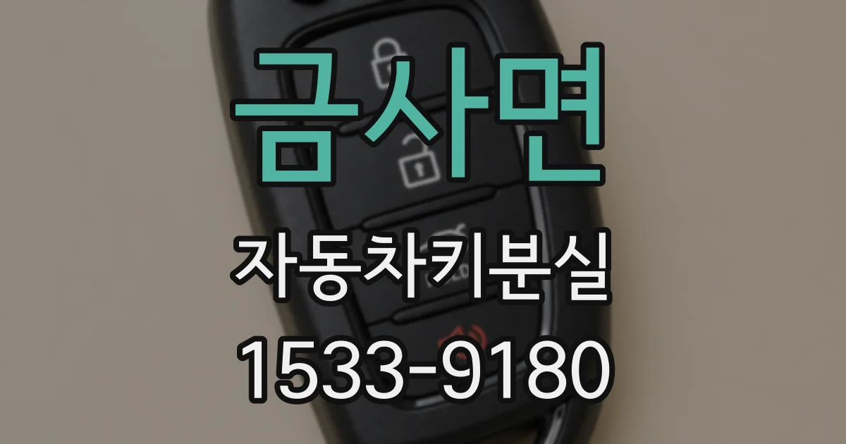 금사면 자동차키분실