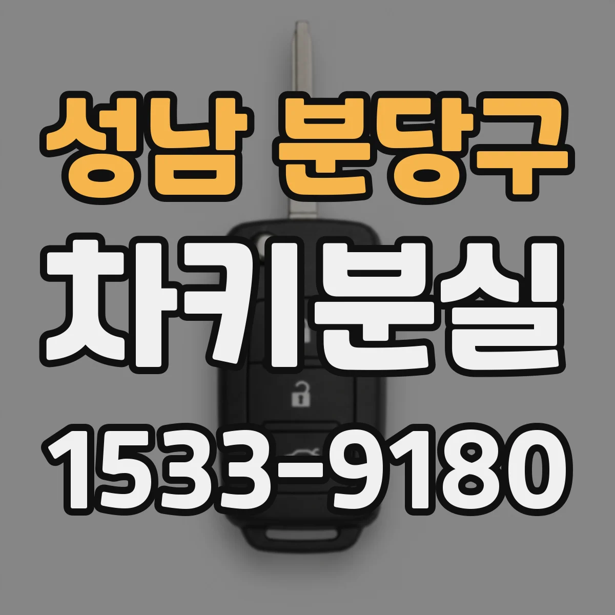 성남 분당구 차키분실