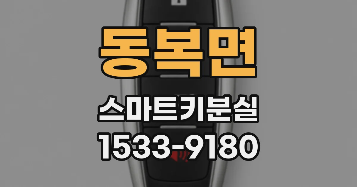 동복면 스마트키분실