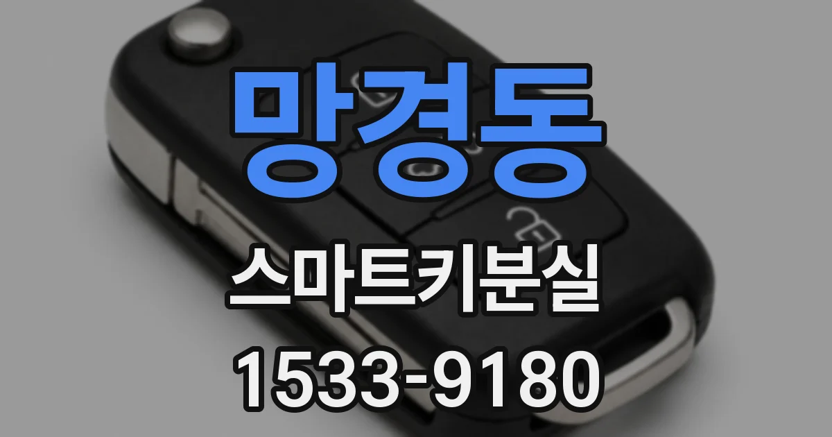 망경동 스마트키분실