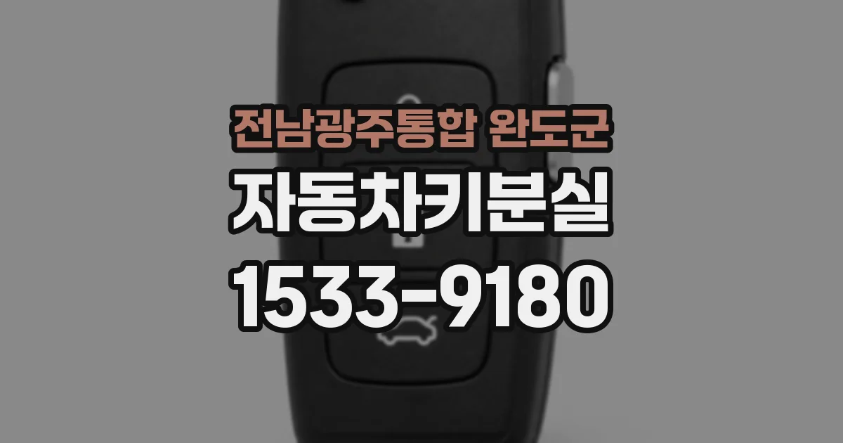 전남광주통합 완도군 자동차키분실