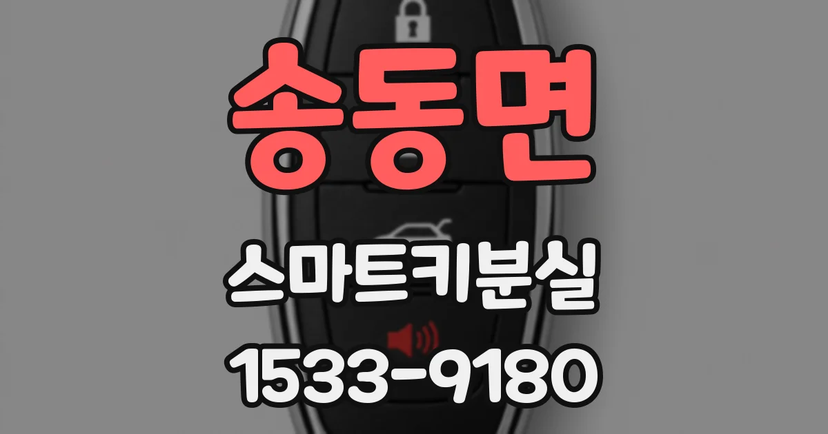 송동면 스마트키분실