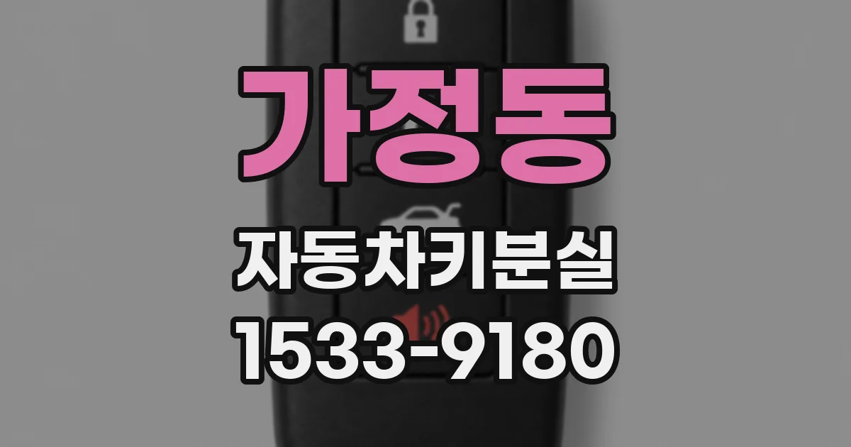 가정동 자동차키분실