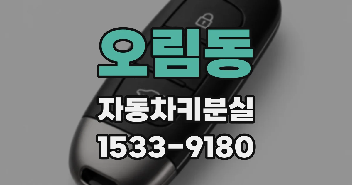 오림동 자동차키분실