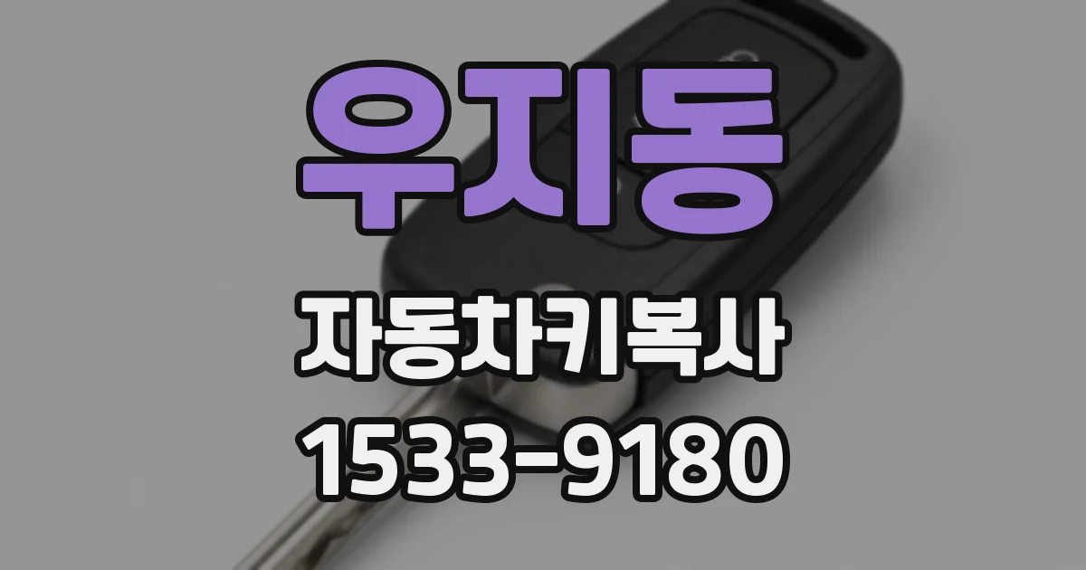 우지동 자동차키복사