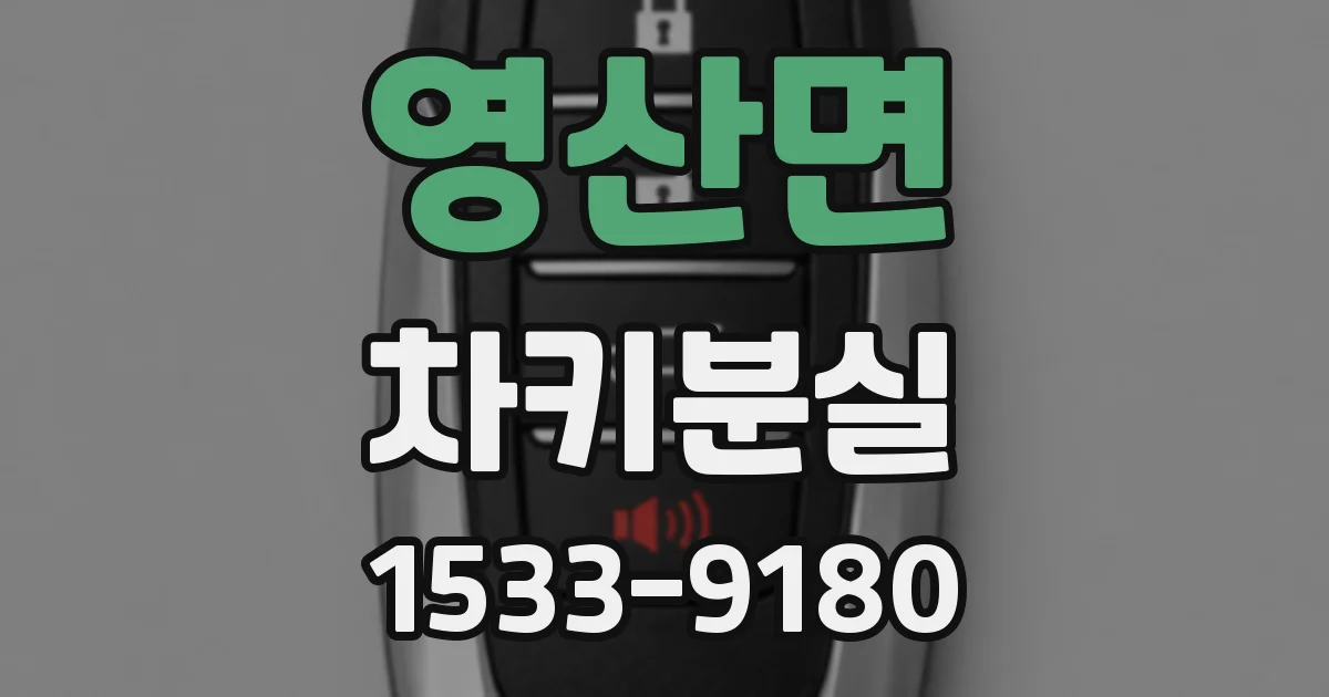 영산면 차키분실