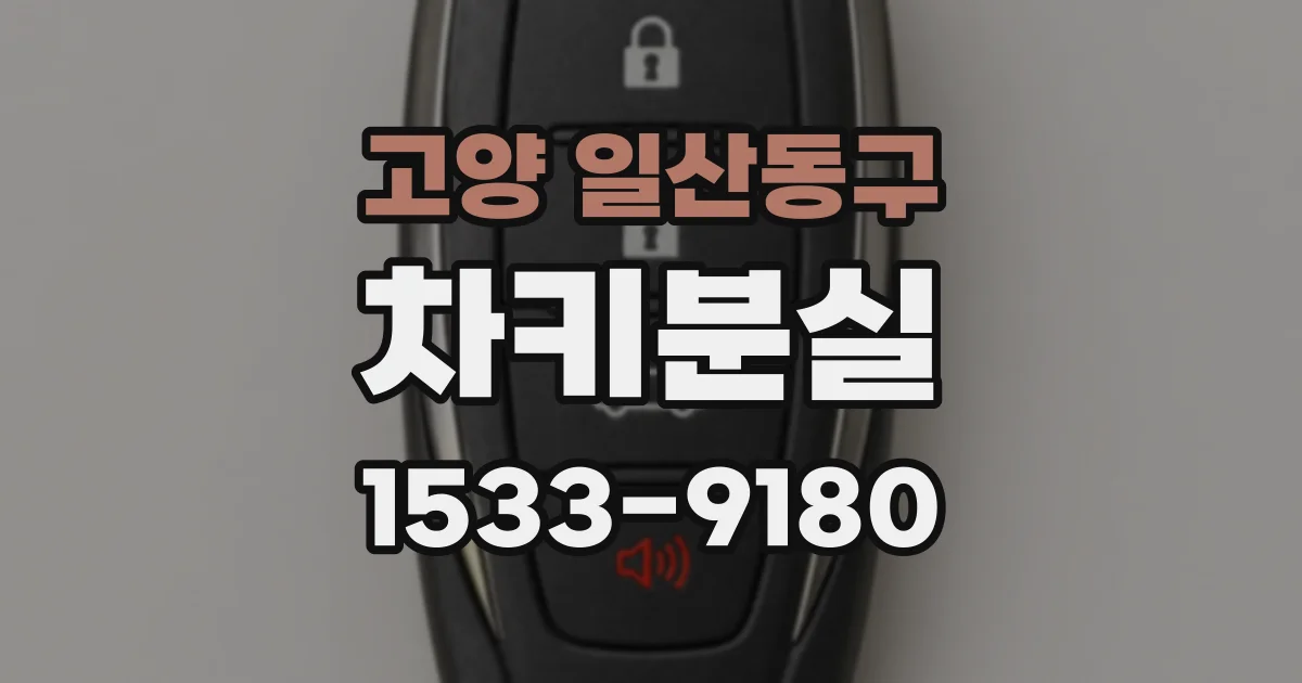 고양 일산동구 차키분실