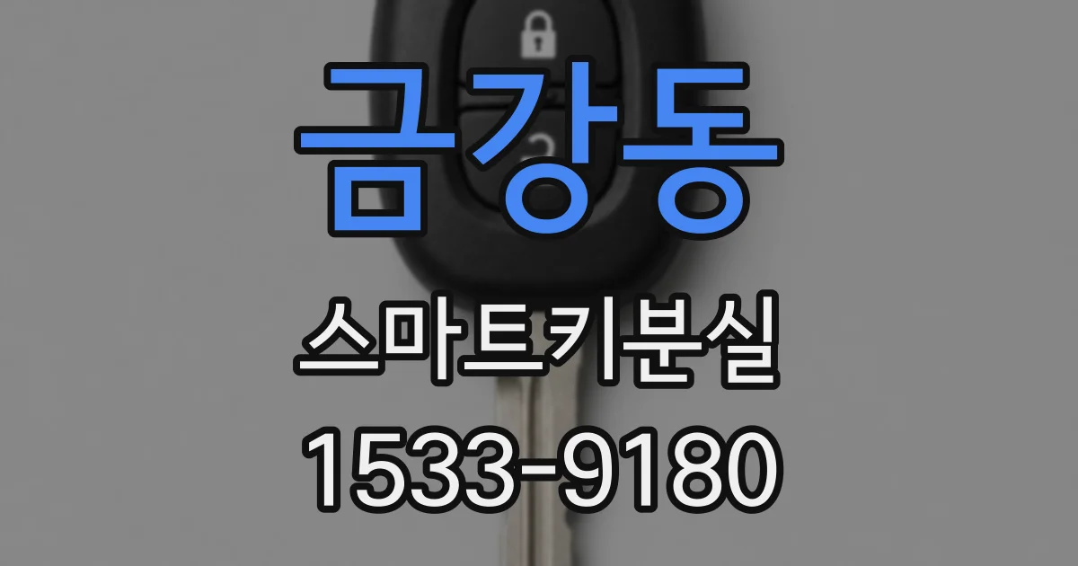 금강동 스마트키분실