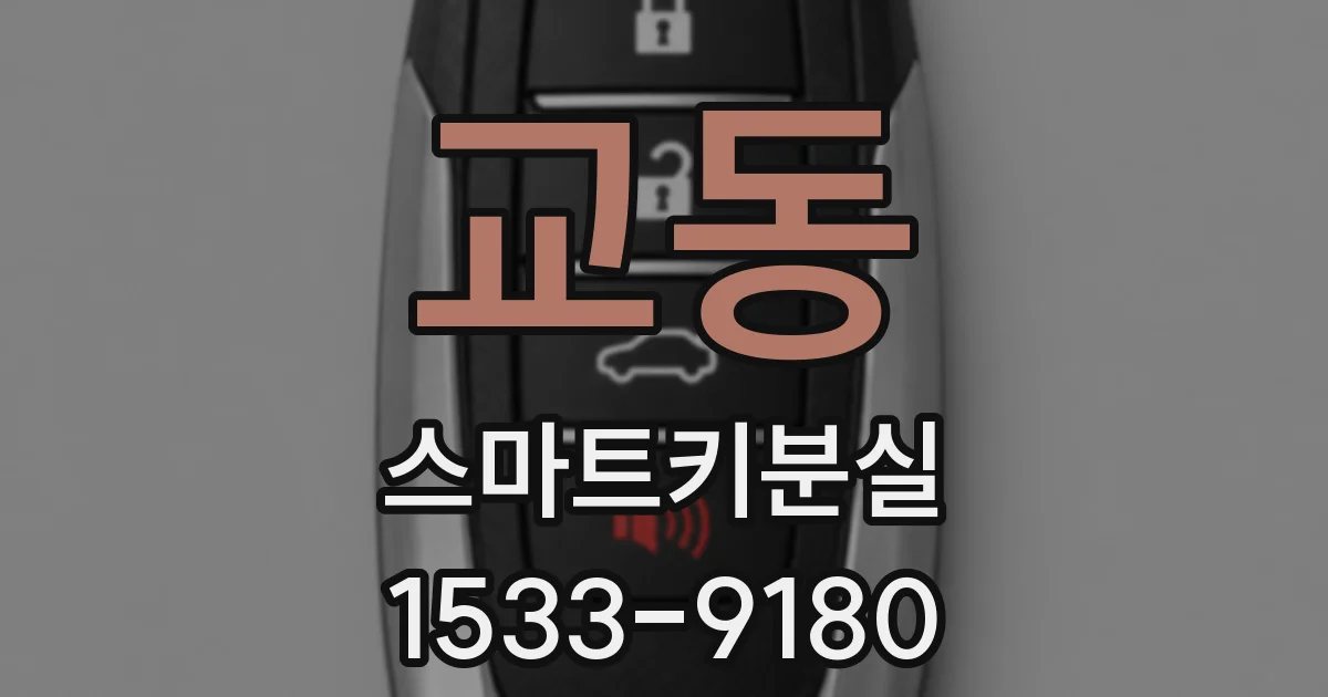 교동 스마트키분실