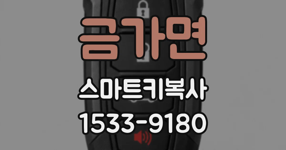 금가면 스마트키복사