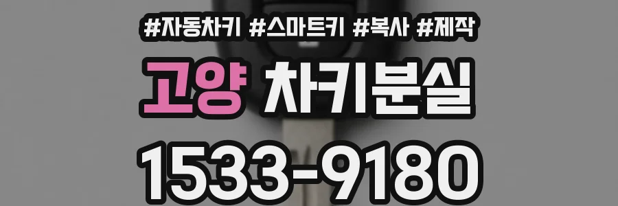 고양 차키분실