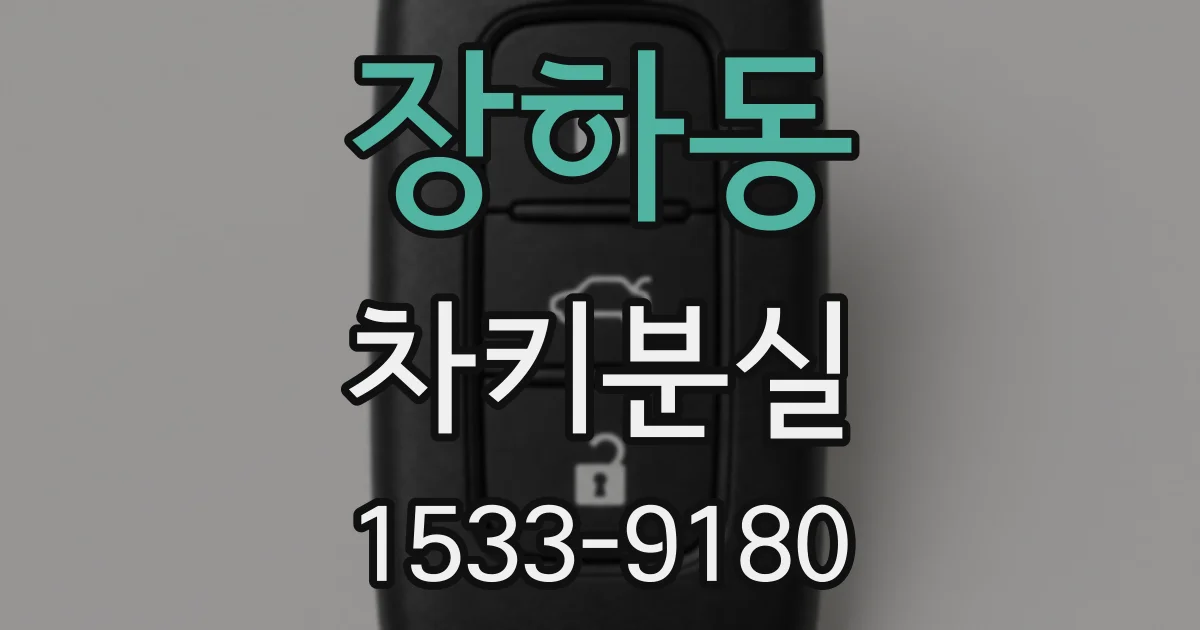 장하동 차키분실