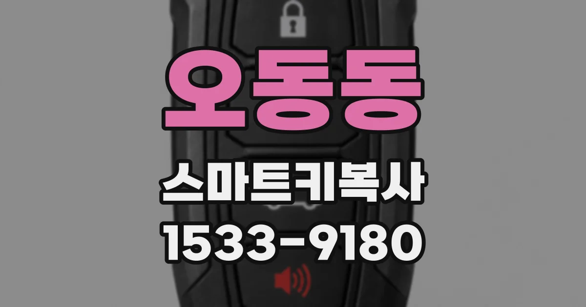 오동동 스마트키복사