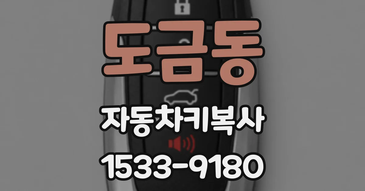 도금동 자동차키복사