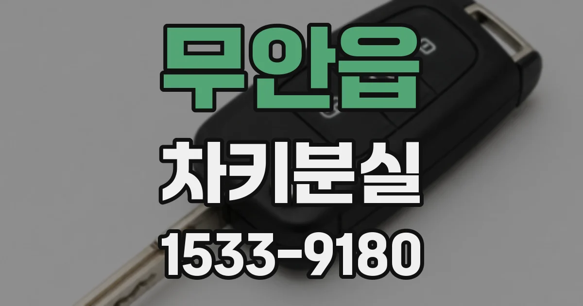 무안읍 차키분실