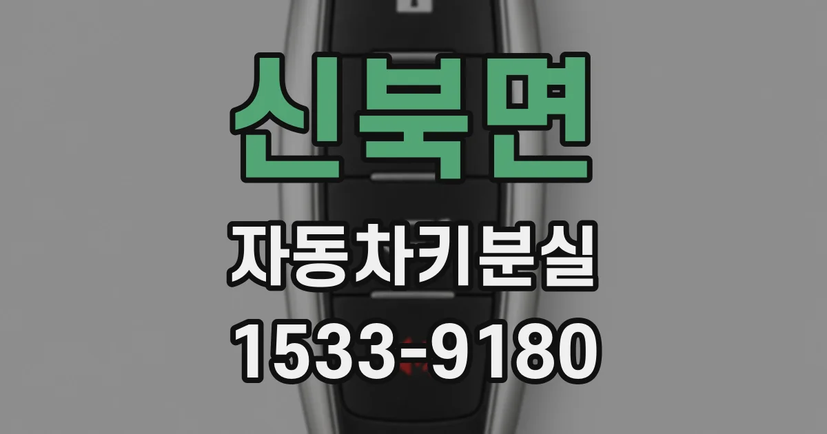 신북면 자동차키분실