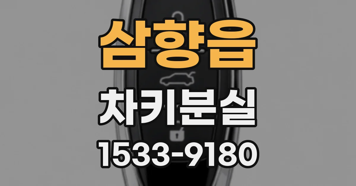 삼향읍 차키분실