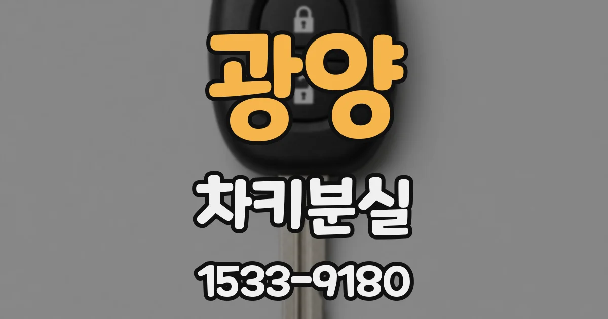 광양 차키분실