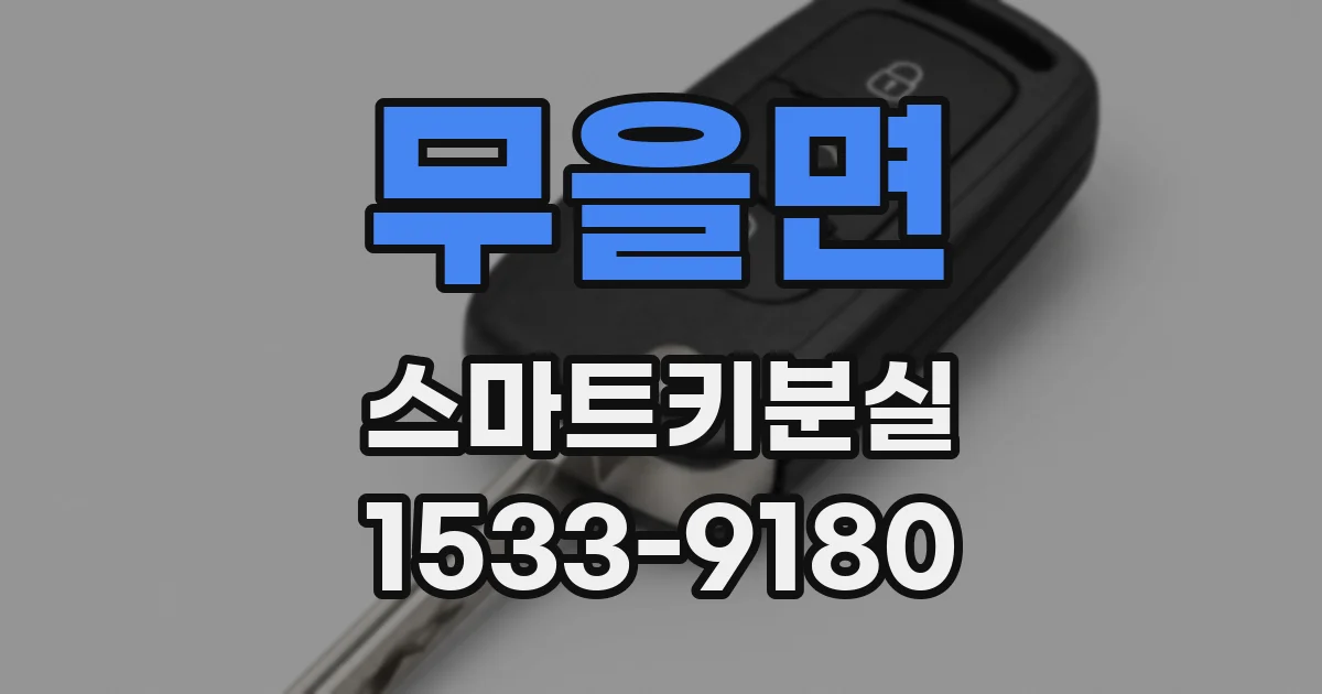 무을면 스마트키분실