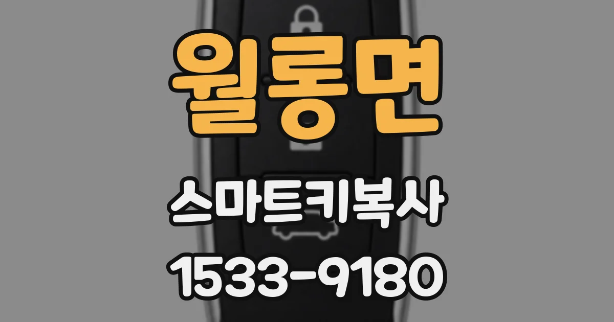 월롱면 스마트키복사