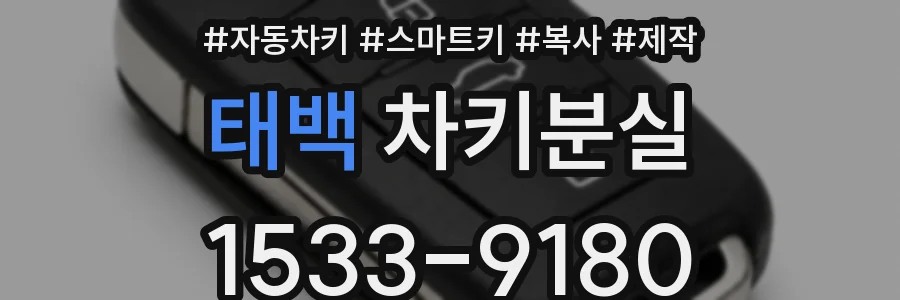 태백 차키분실