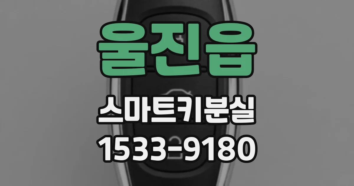 울진읍 스마트키분실