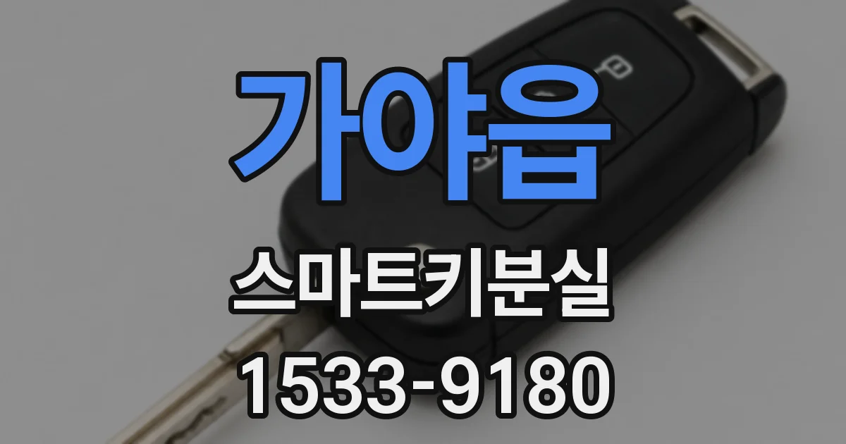 가야읍 스마트키분실