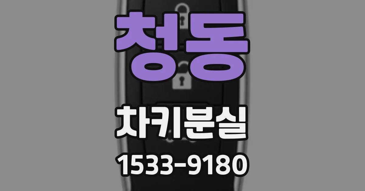 청동 차키분실