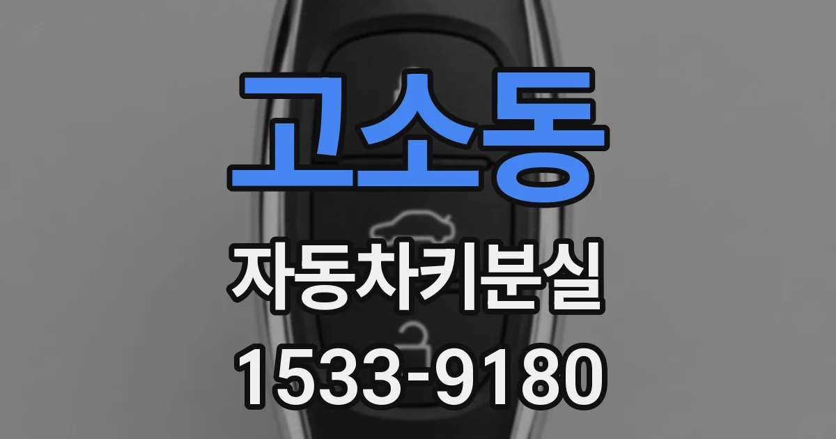 고소동 자동차키분실